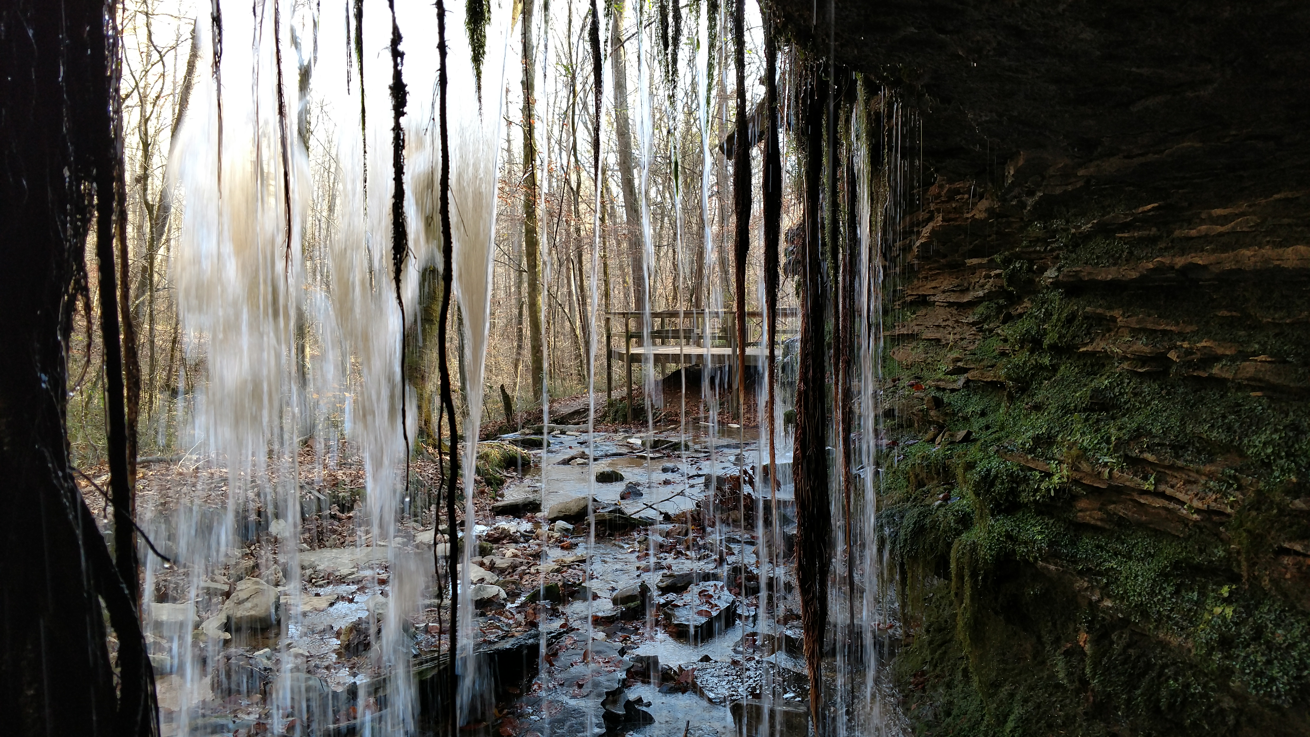 City Lake Natural Area, Cookeville, TN - Our Next Chapter